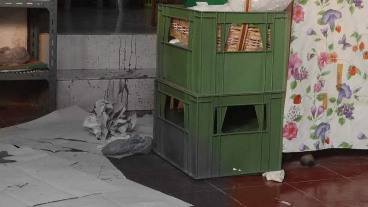 라오스 가정부 용의자