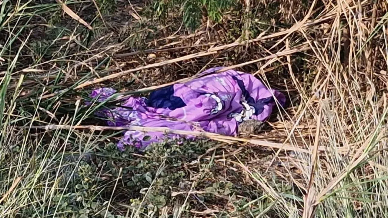 사라부리 현장 사진