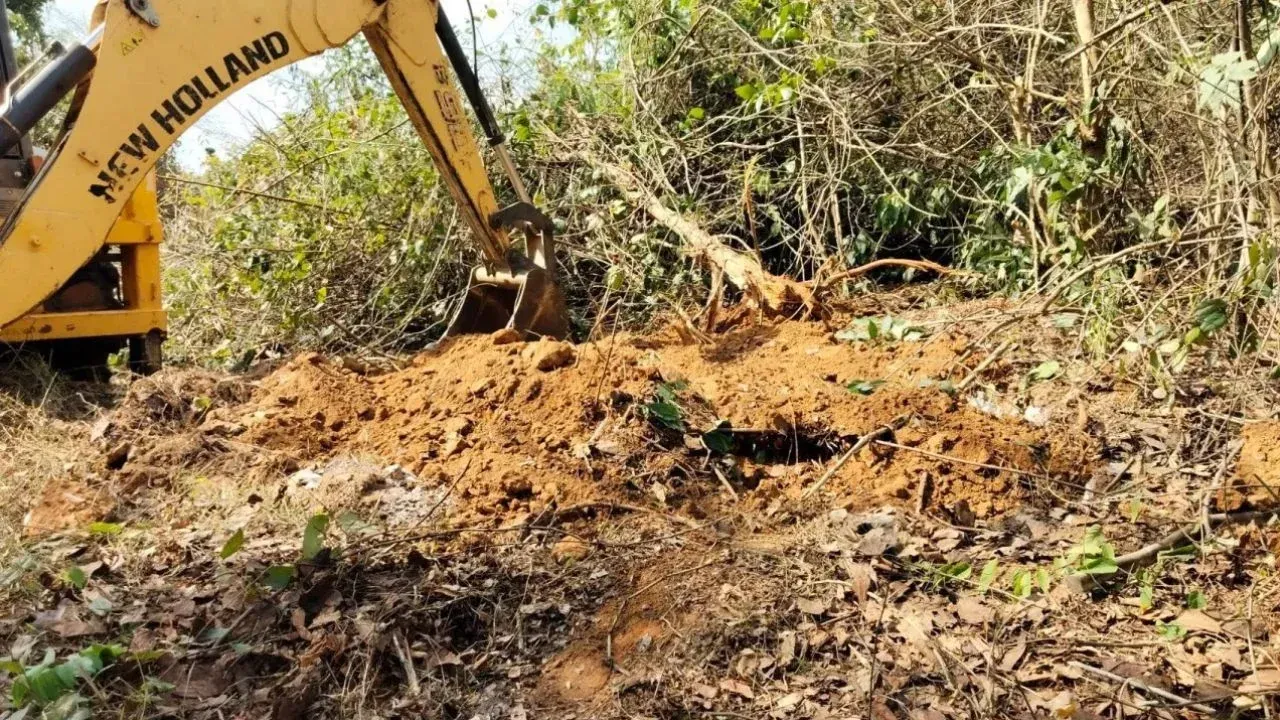 야생동물보호구역 현장 조사 모습