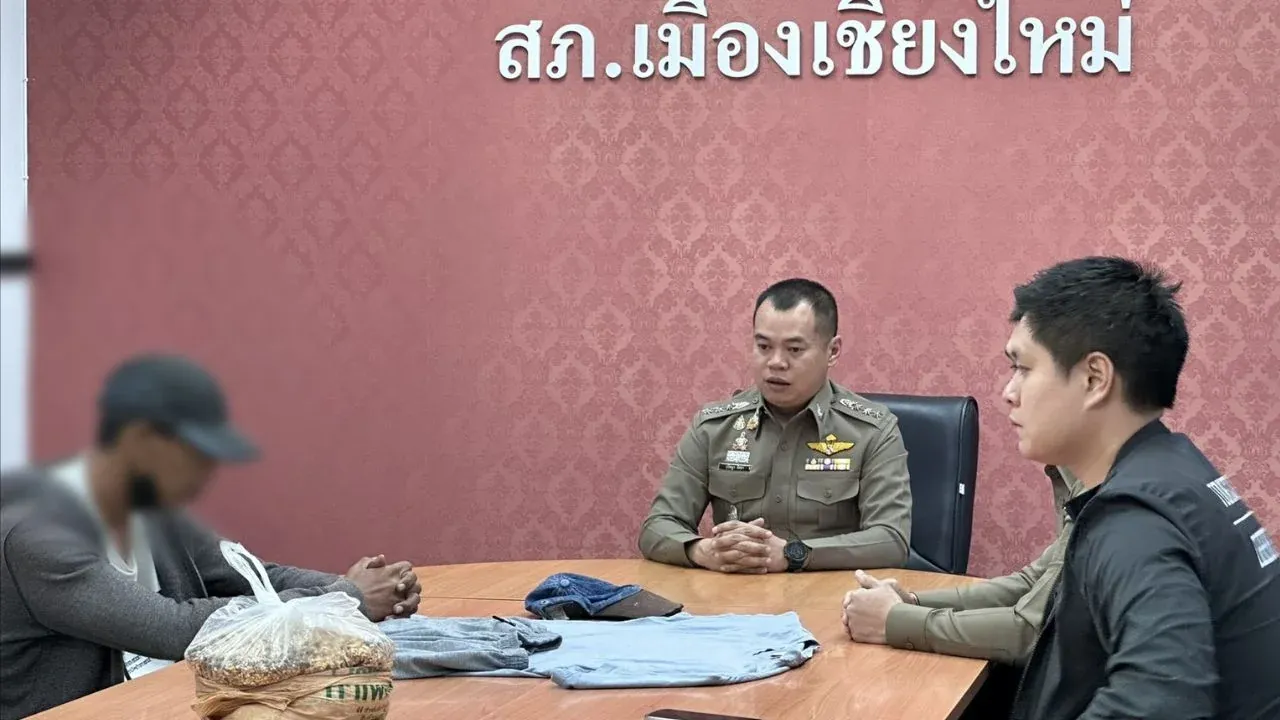 치앙마이 타패문 새 모이 판매상 단속 현장