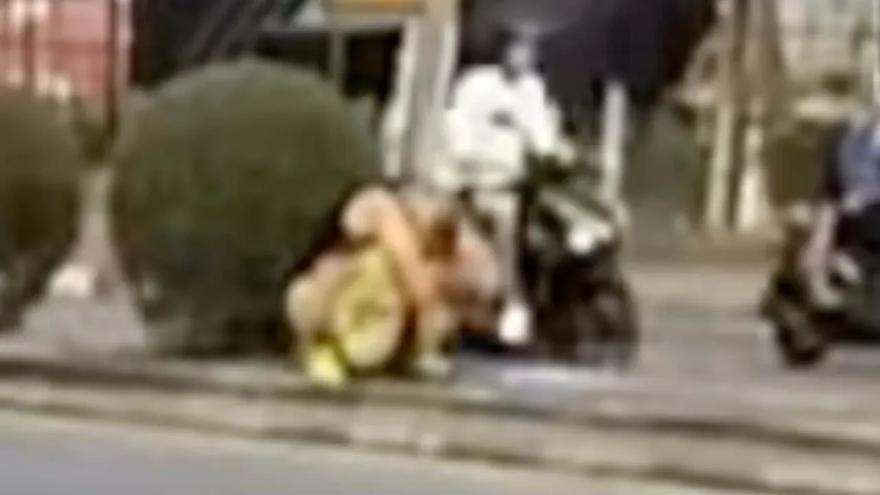 파타야 도로에서 발생한 러시아 관광객 노상방뇨 사건 현장