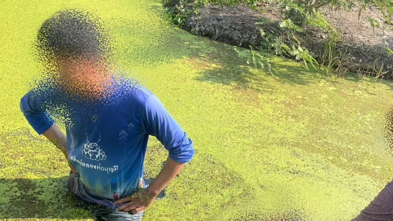 앙통주 사고 현장에서 활동 중인 경찰과 구조대원