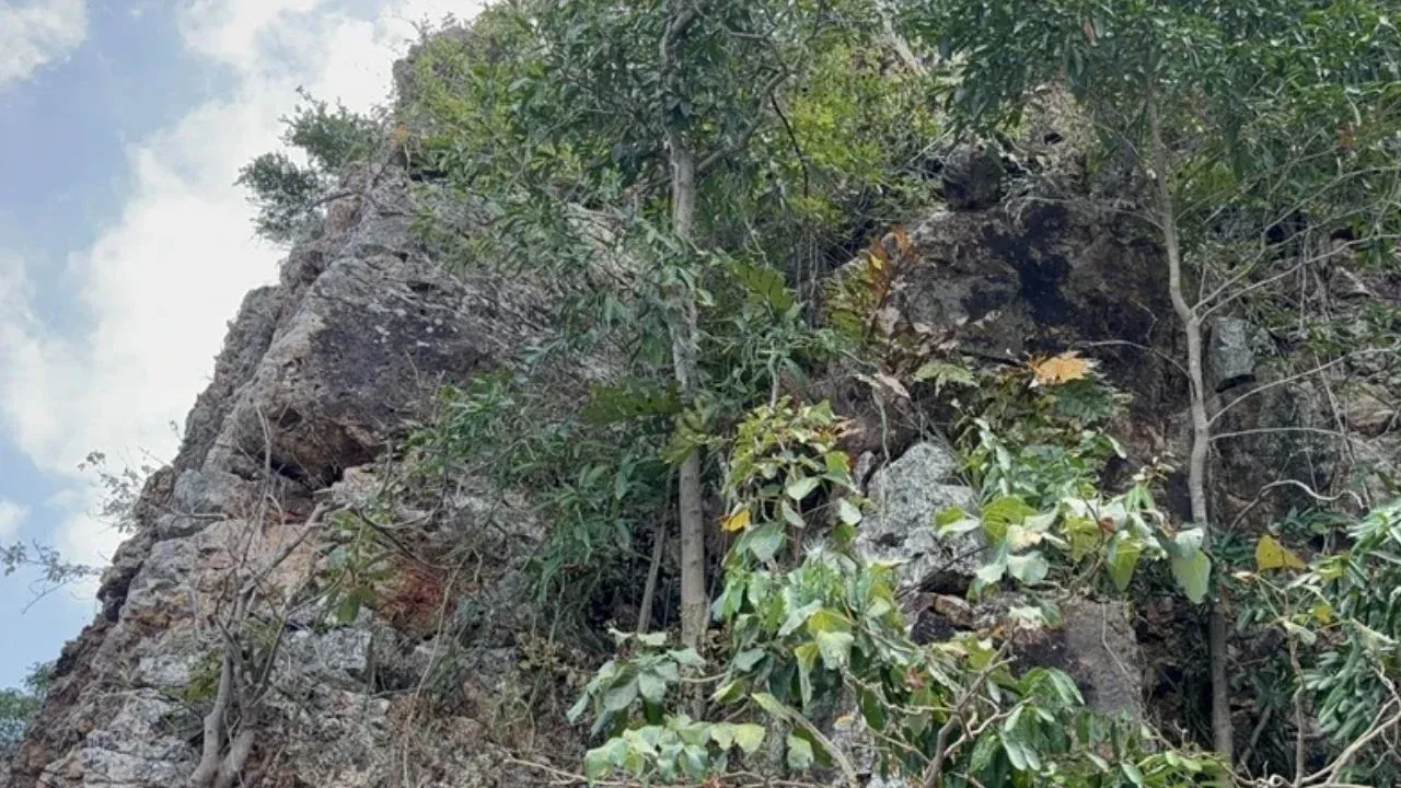 코사무이 전망대 해변 현장 사진