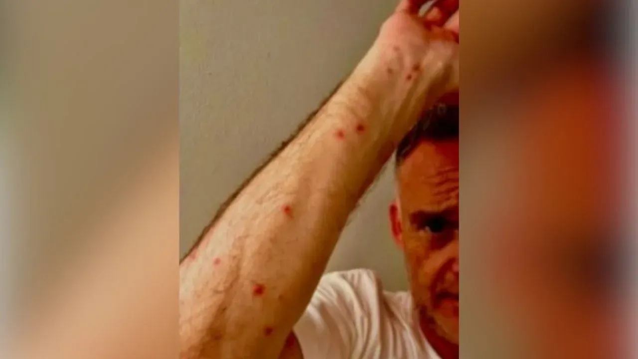 태국 거울재단 실종자센터 게시물