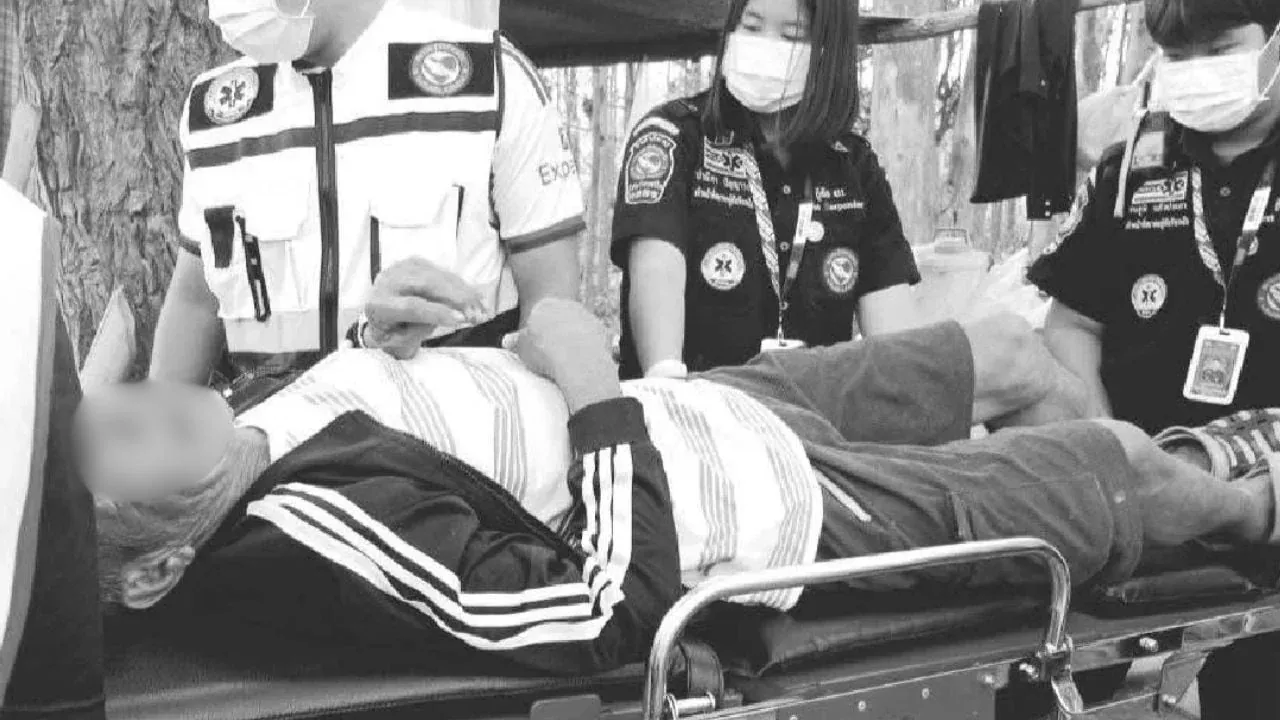 먹파리에 물린 후 패혈증으로 사망한 태국 남성 관련 보도