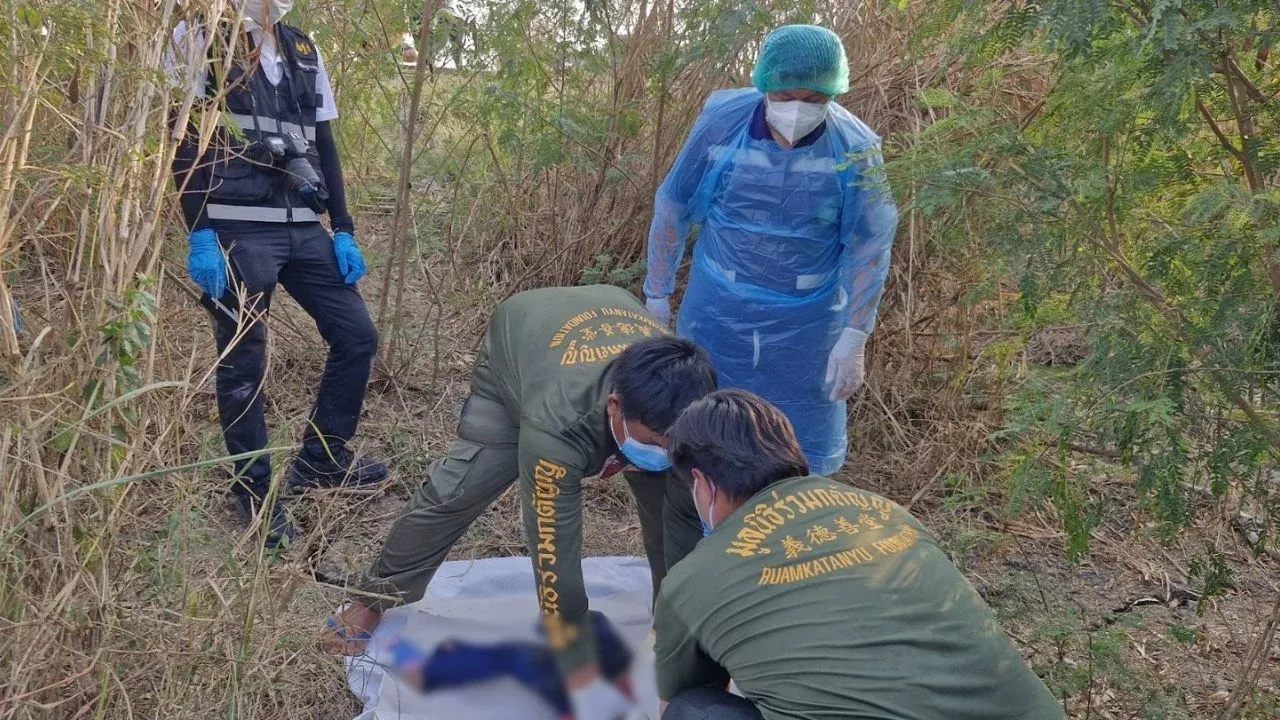 도로변 숲 발견 현장