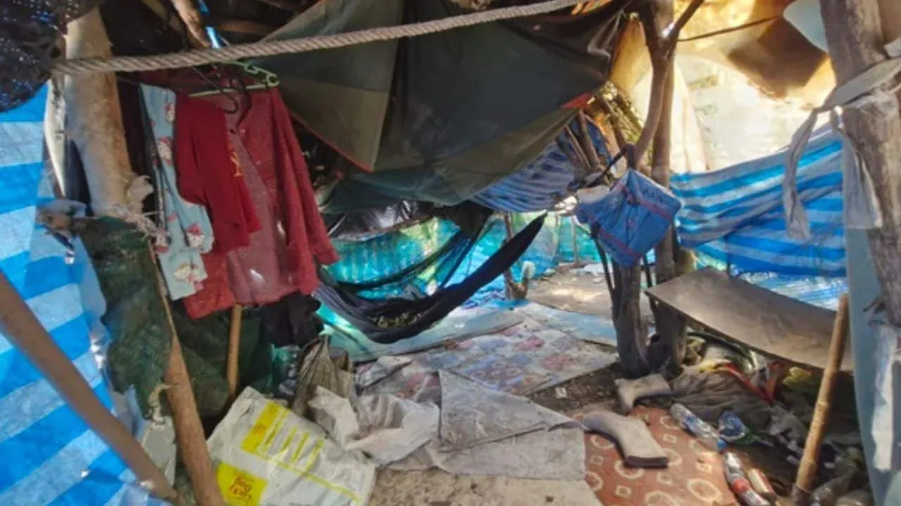 차암 숲속 임시 거처 현장 모습