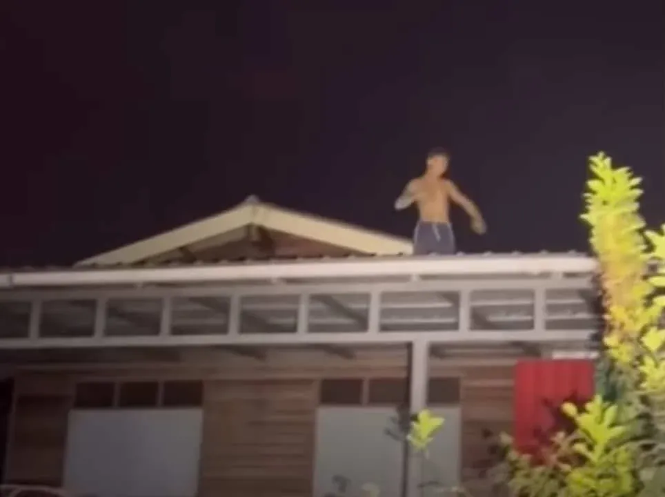 현장 조사 장면