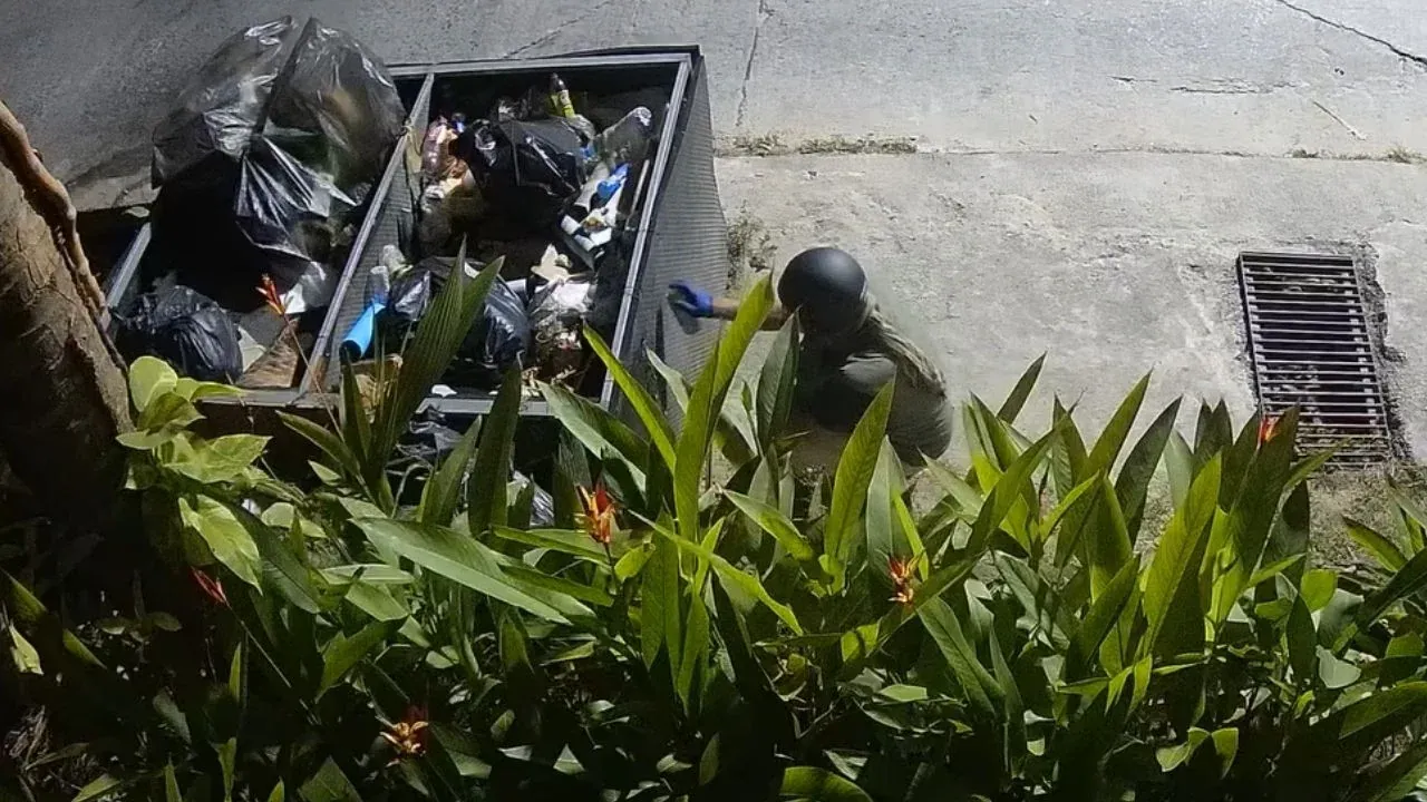 그래피티로 인한 코팡안 재산 피해