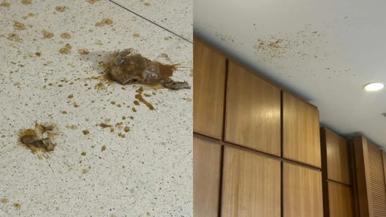 방콕 선거관리위원회 건물 앞에서 발효 생선 봉지를 투척한 남성