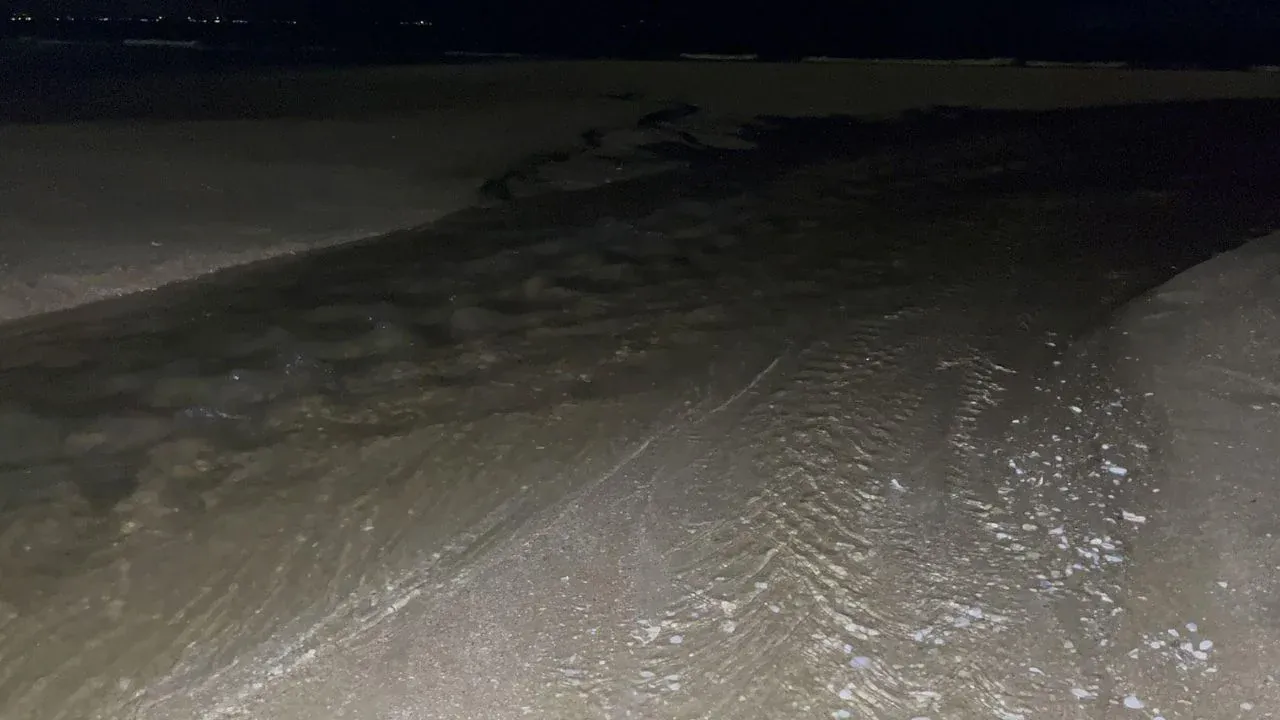 좀티엔 해변 오폐수 방류 관련 현장 사진