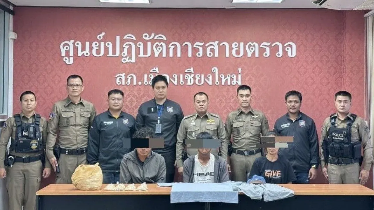 치앙마이 경찰이 타패문에서 새 모이 판매상을 연행하는 모습