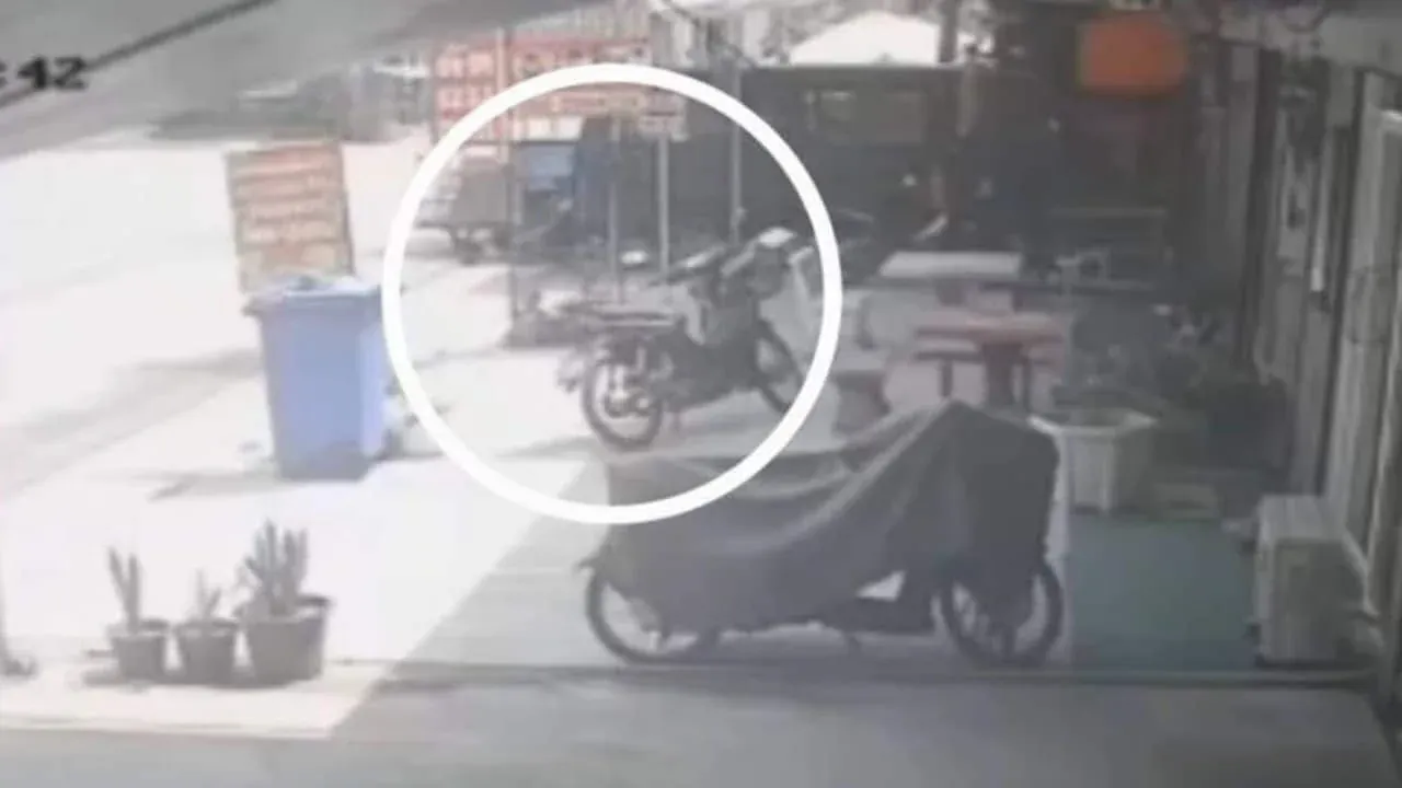 핏불에게 물린 배달 기사의 상처 부위