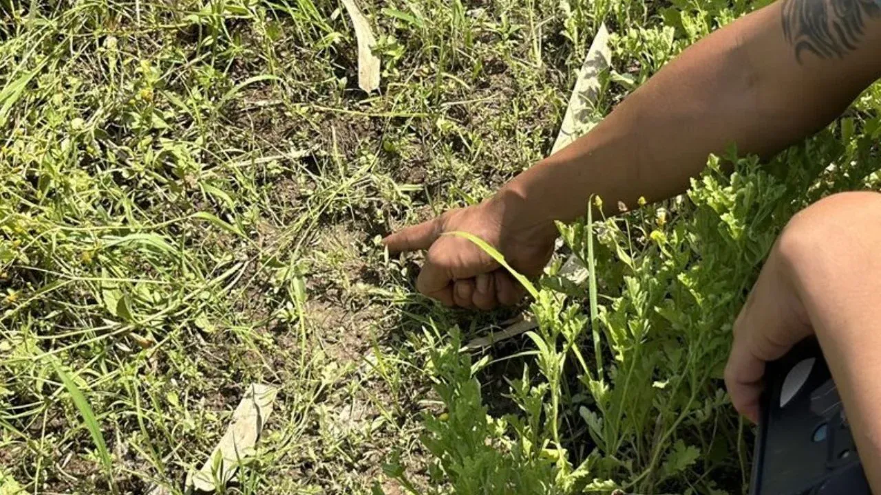 야생동물 관리 당국 순찰 활동