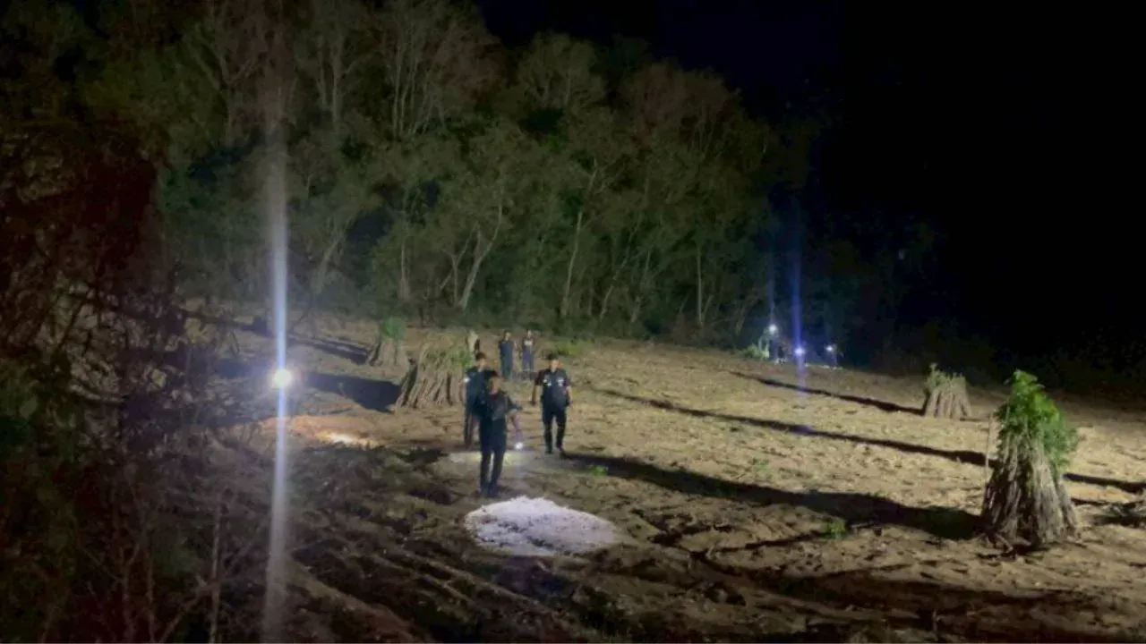 촌부리 산에서 실종 여성 수색 현장