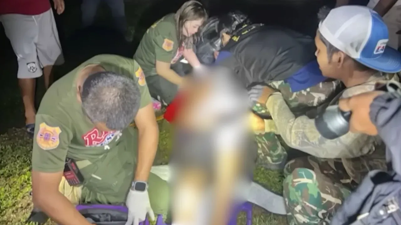 야생 코끼리 출몰 현장