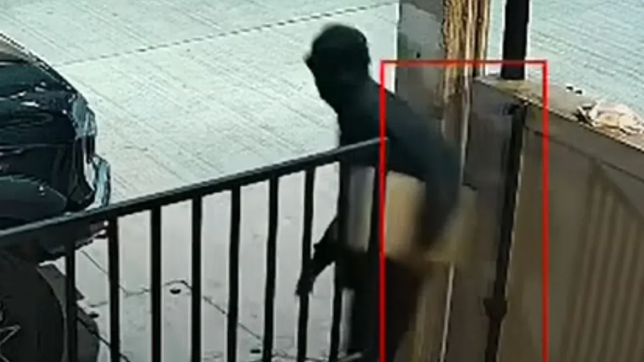 파타야 강도 사건 CCTV 장면