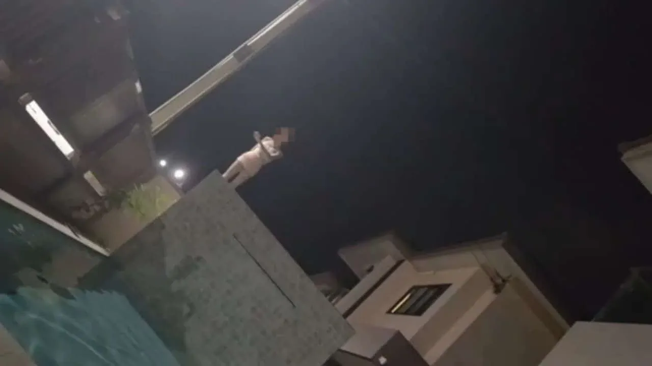 파타야 관광객 폭행 사건 관련 사진