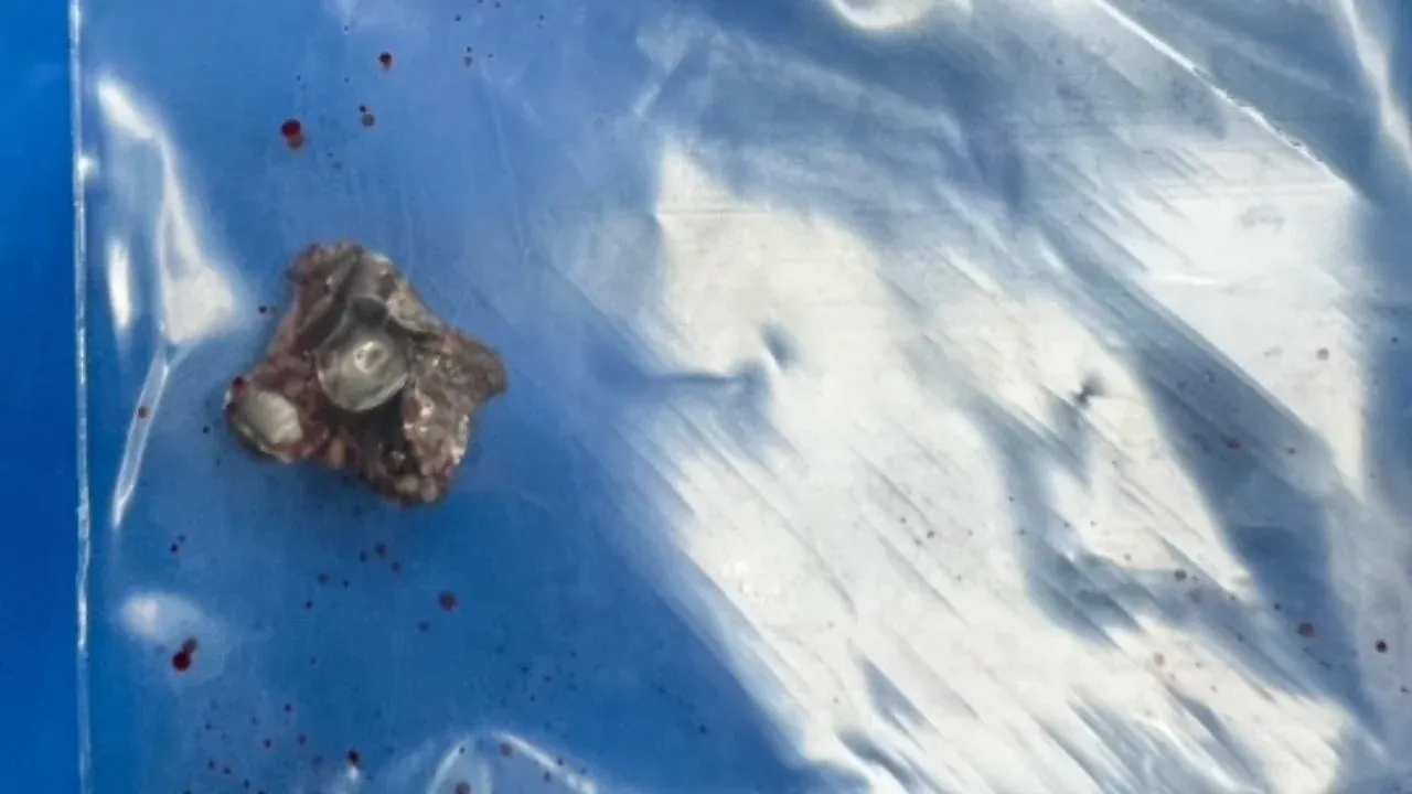 푸켓 사격장 사고 현장