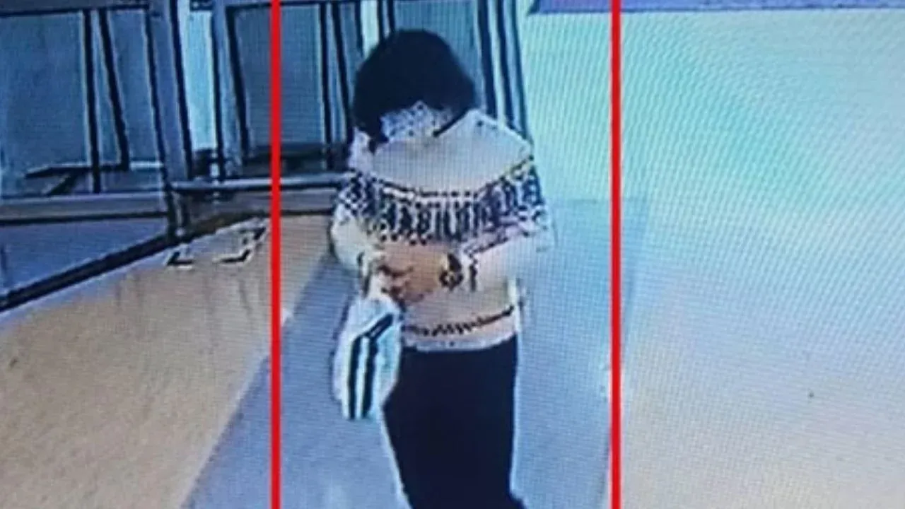 2013년 강도 사건 당시 가발을 쓴 잘로르