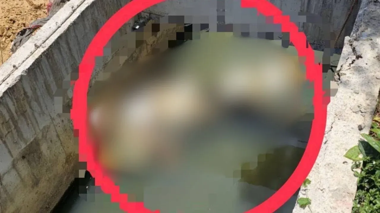 푸켓에서 사망한 외국인 관련 현장