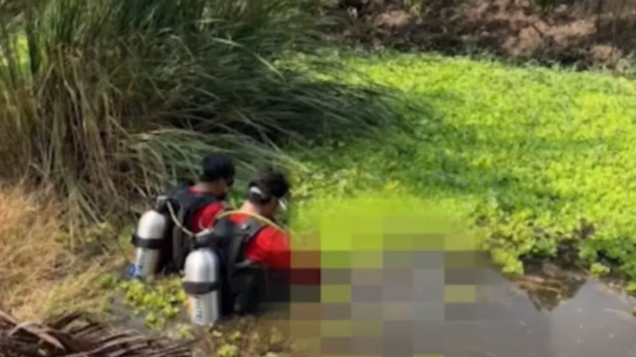 중국 여성 시신 발견 관련 사진