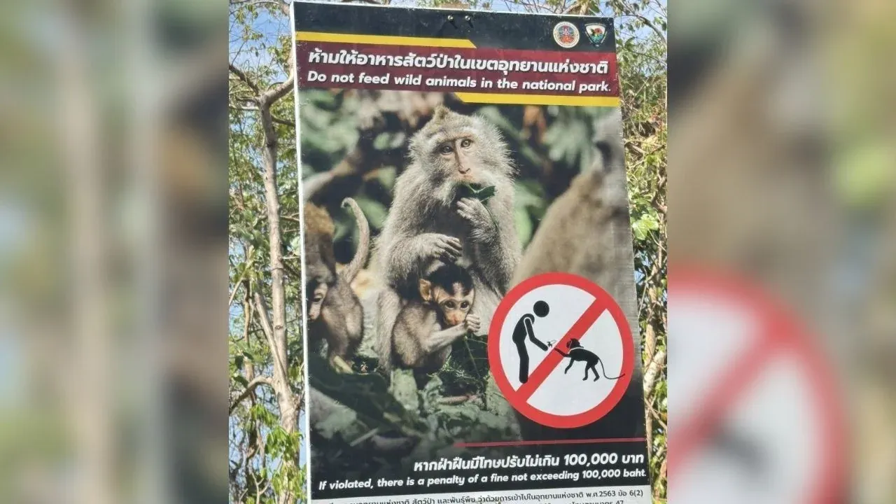 코창섬 원숭이 오토바이 열쇠 도난 사건 관련 페이스북 게시물