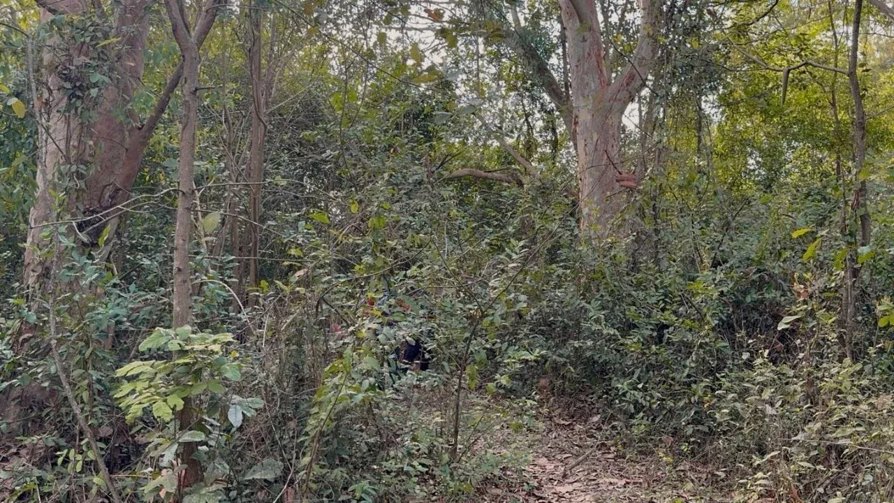 촌부리 현장 사진