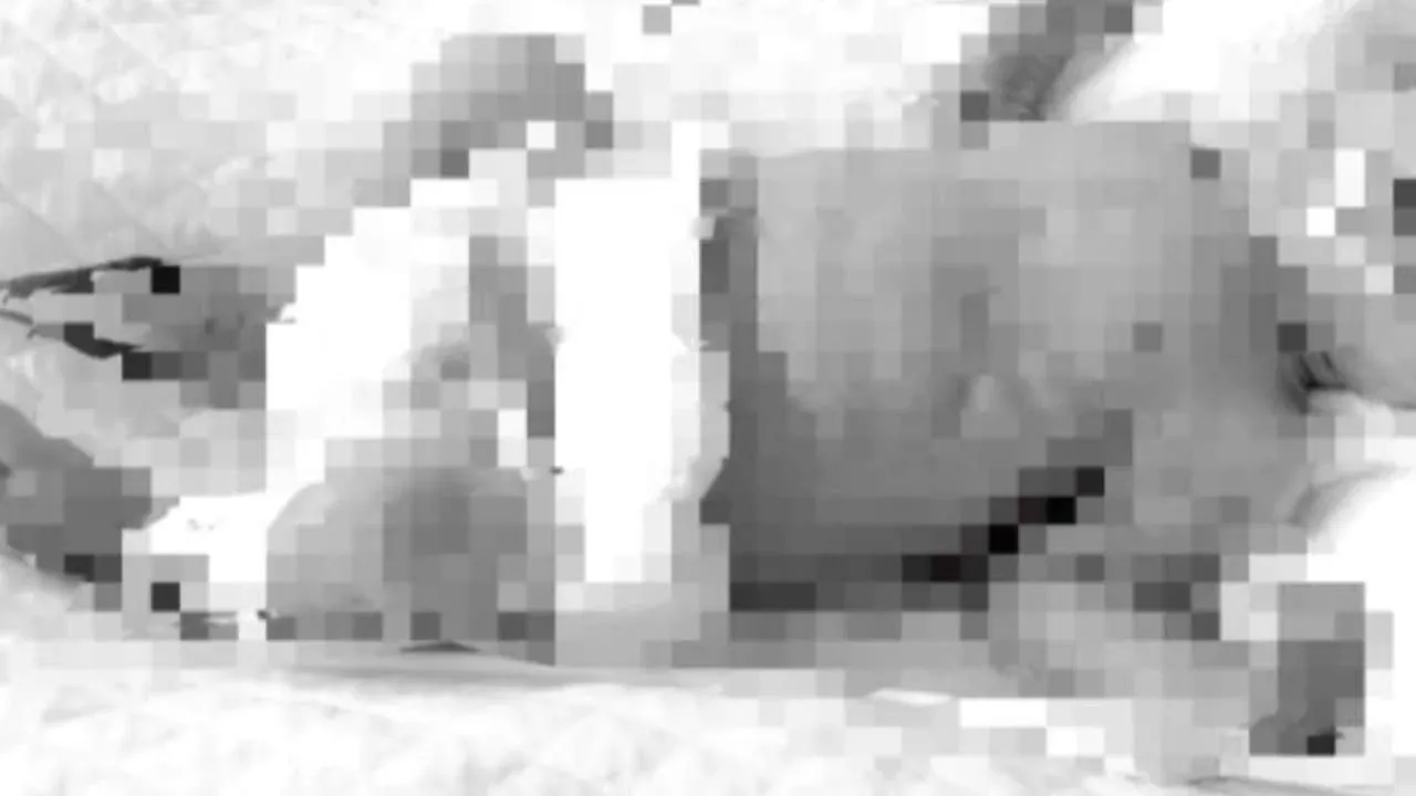 치앙마이 신생아 시신 실종