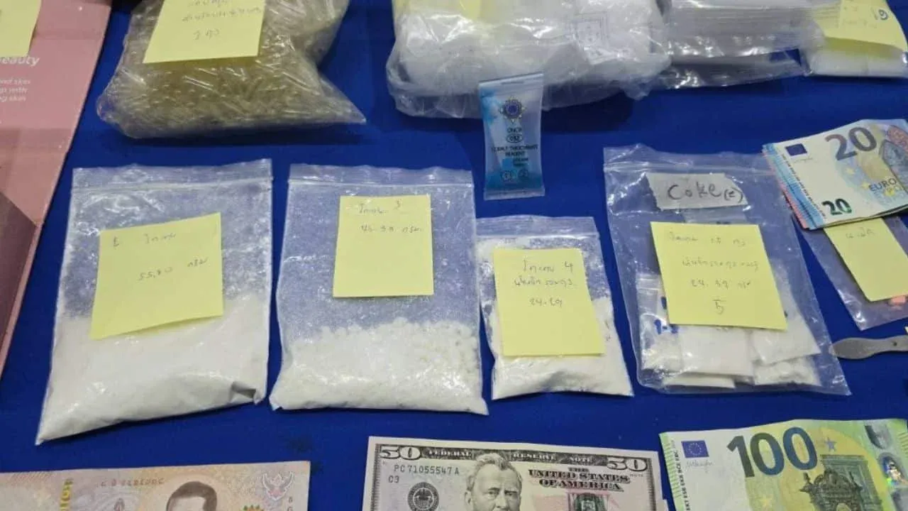 코팡안 마약 유통 조직 관련 증거