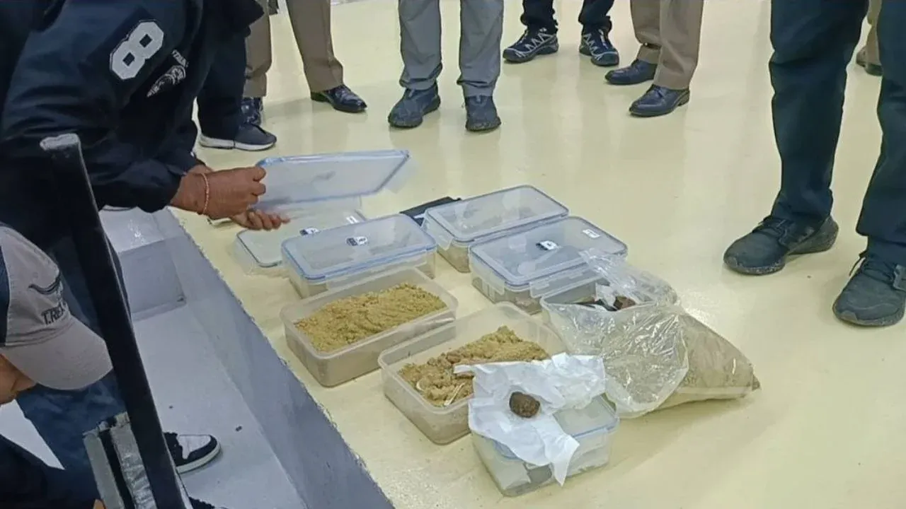 압수된 대마초 추출물과 장비