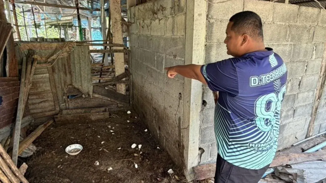 호랑이 발자국 현장 조사