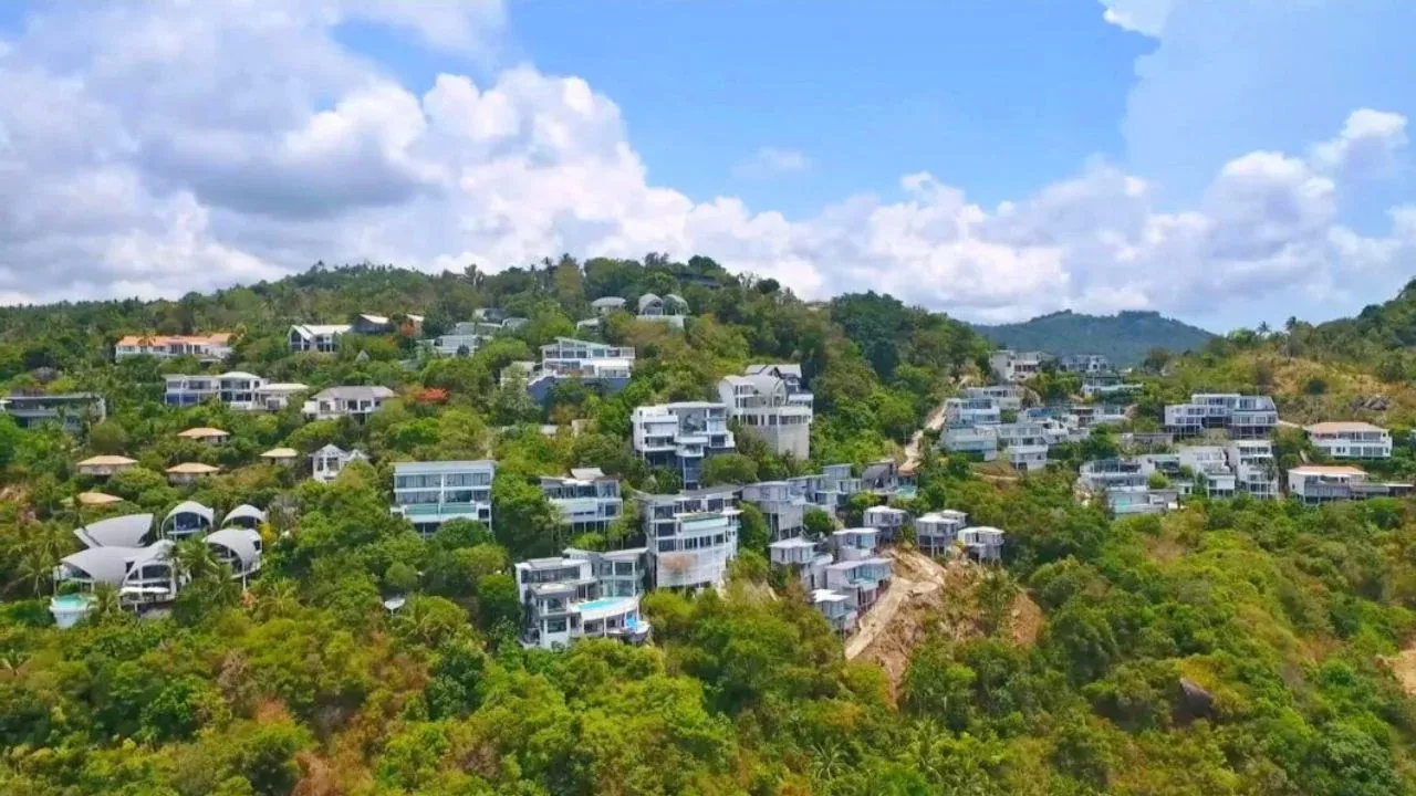 코사무이 위조 허가 관련 자료