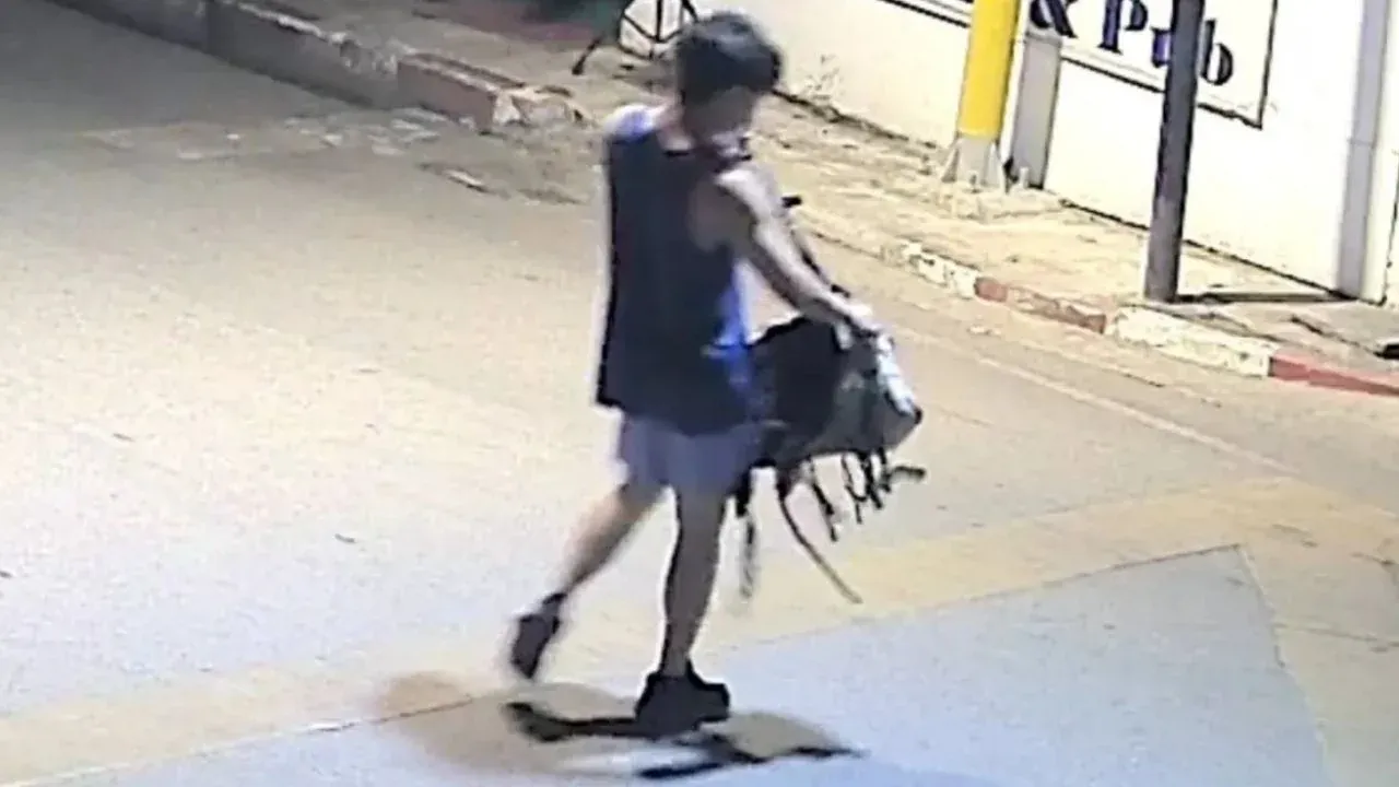 보험금 편취 목적 허위 도난 신고 의심 중국인