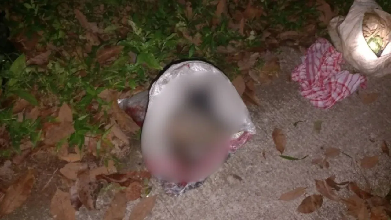 나콘시탐마랏 멧돼지 밀렵 현장 압수물