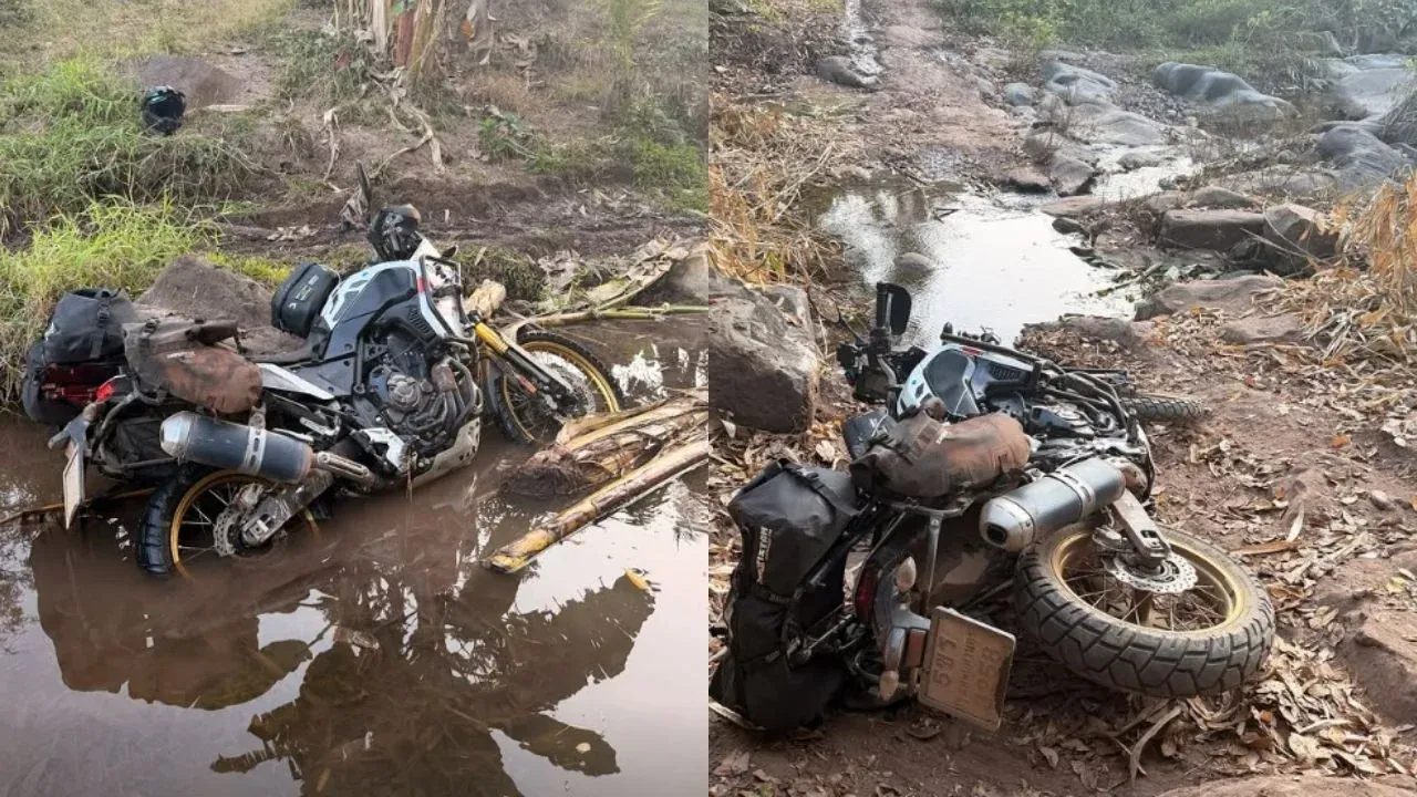 캐나다인 피의자 관련 사진