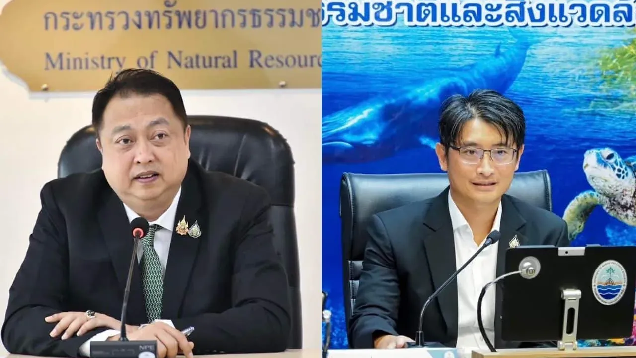 푸켓 코애오 해역에서 발견된 독성 불해파리