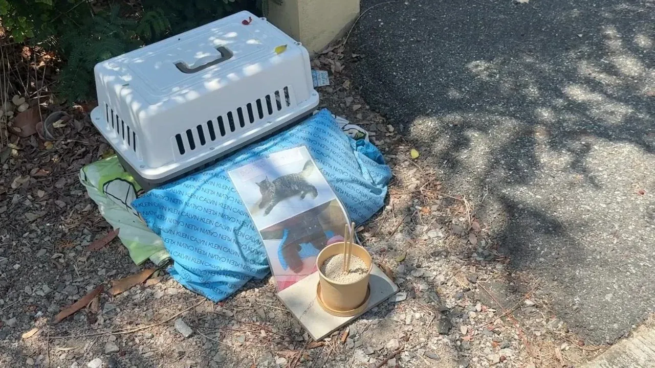 사건 현장의 이웃 주택 모습