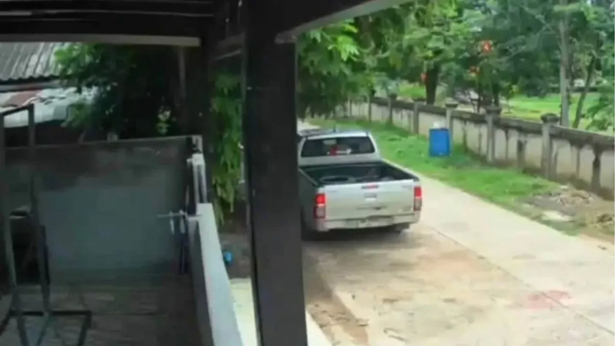 태국 북동부 사채업자 토끼 압류 사건