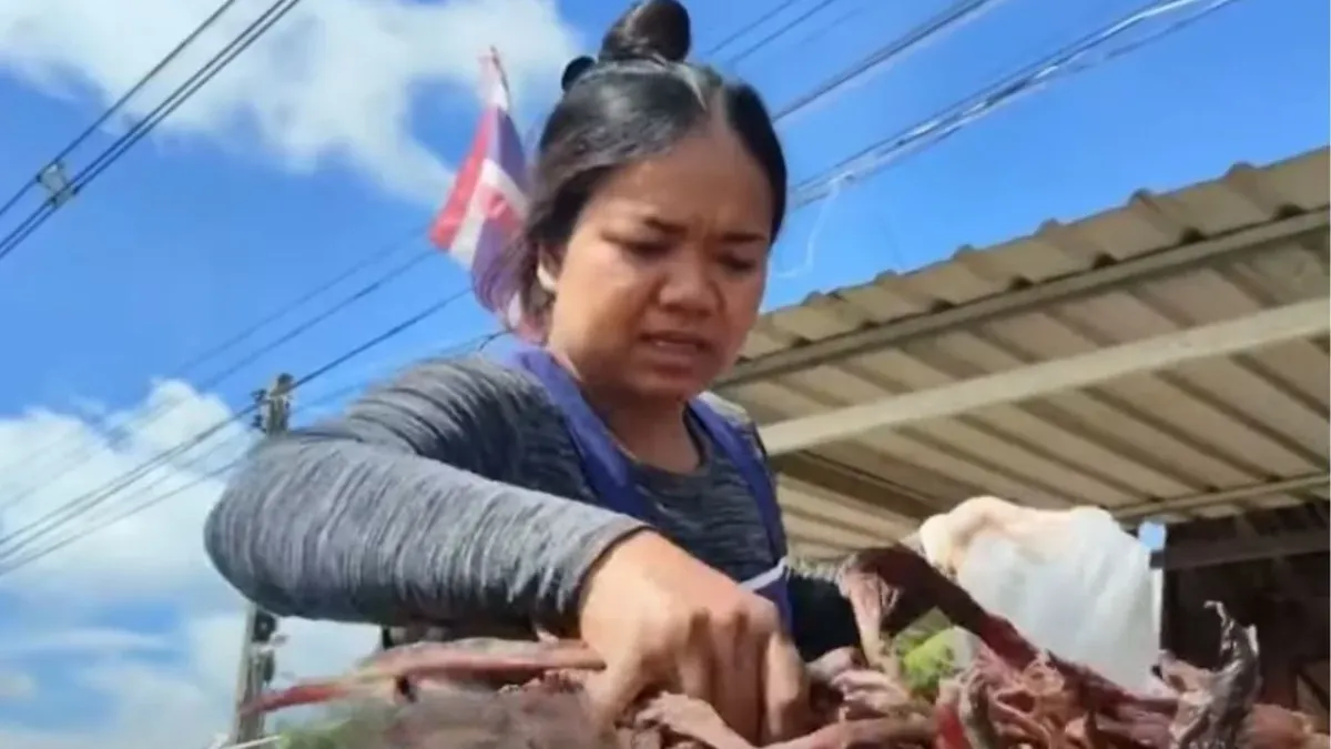 태국-캄보디아 국경 긴장으로 어려움을 겪는 수린 상인들