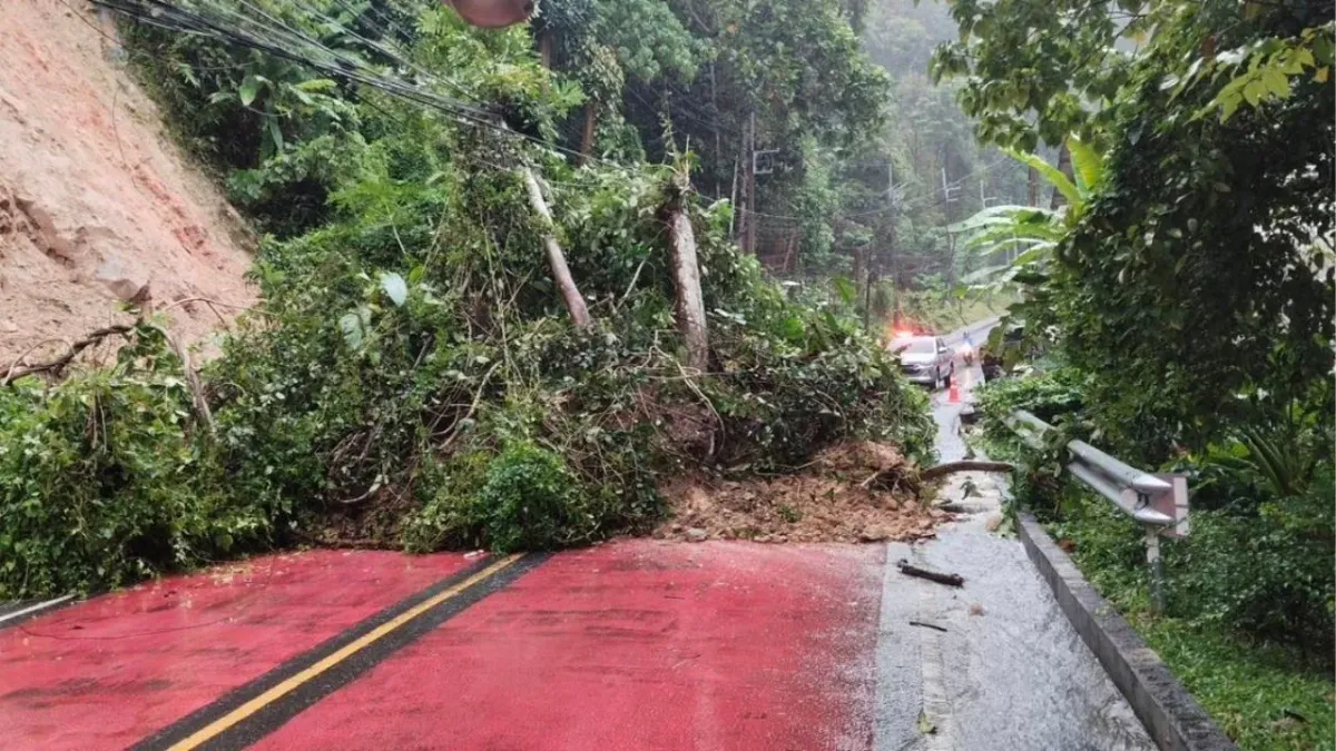푸켓 파통 힐 산사태로 도로 폐쇄, 폭우로 공항 마비