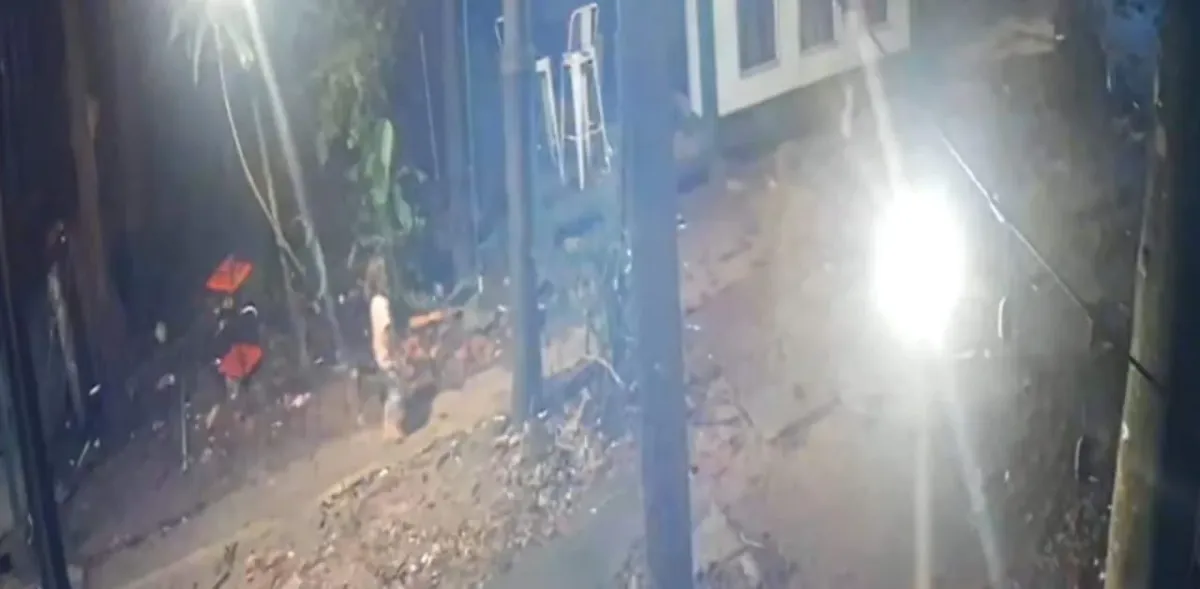 라용 지역 2세 아동 사망 사건, 유기견 공격 여부 수사 중