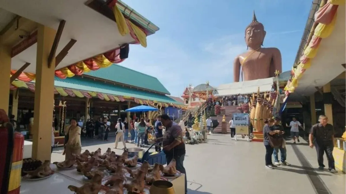 태국 공무원, 불상 기도로 시험 합격 후 돼지머리 20개 봉헌