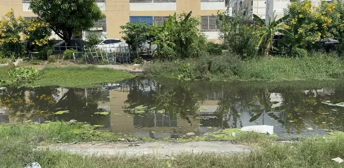 태국 절도 용의자, 체포 피하려다 운하에서 익사