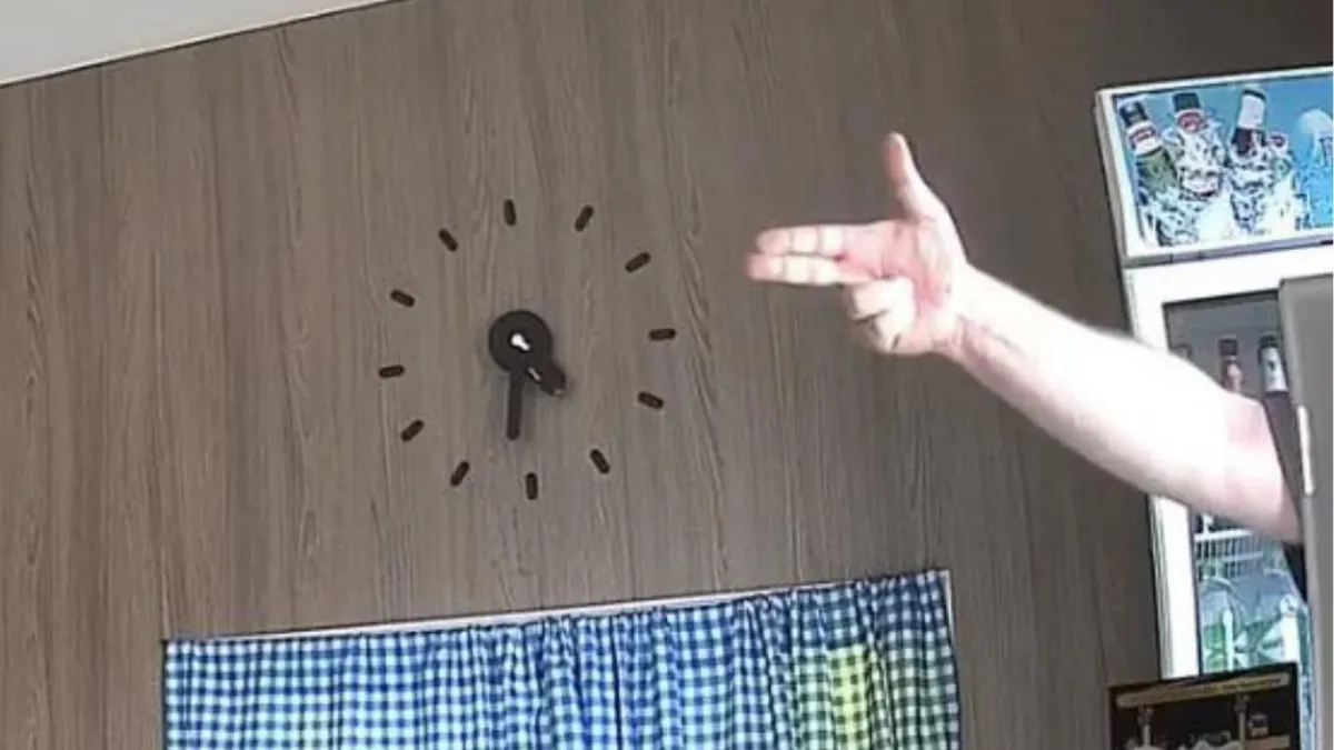 푸켓 호텔, 고양이 동반 거부하자 외국인 남성이 직원 위협