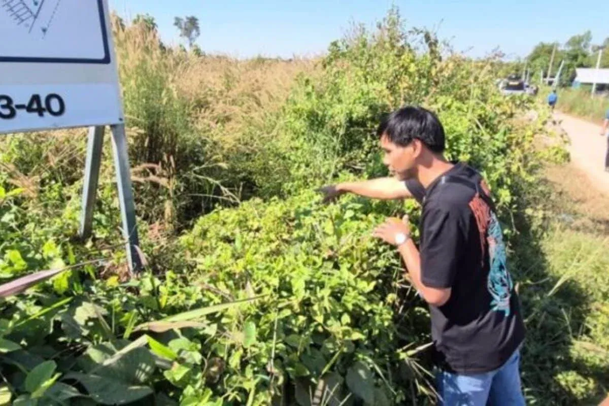 우돈타니 주민들, 의심스러운 개 독살 사건에 충격