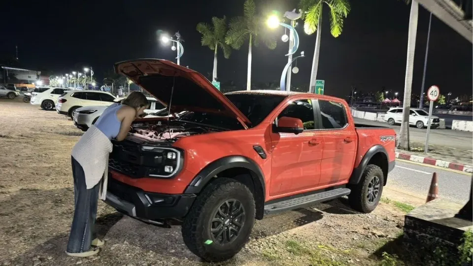 파타야 주차장에서 유기견들이 픽업트럭에 1억원 피해 발생