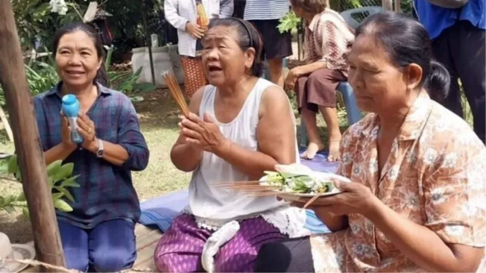 태국 펫차분 '기적의 바나나 나무'에 몰려든 복권 행운 찾는 주민들