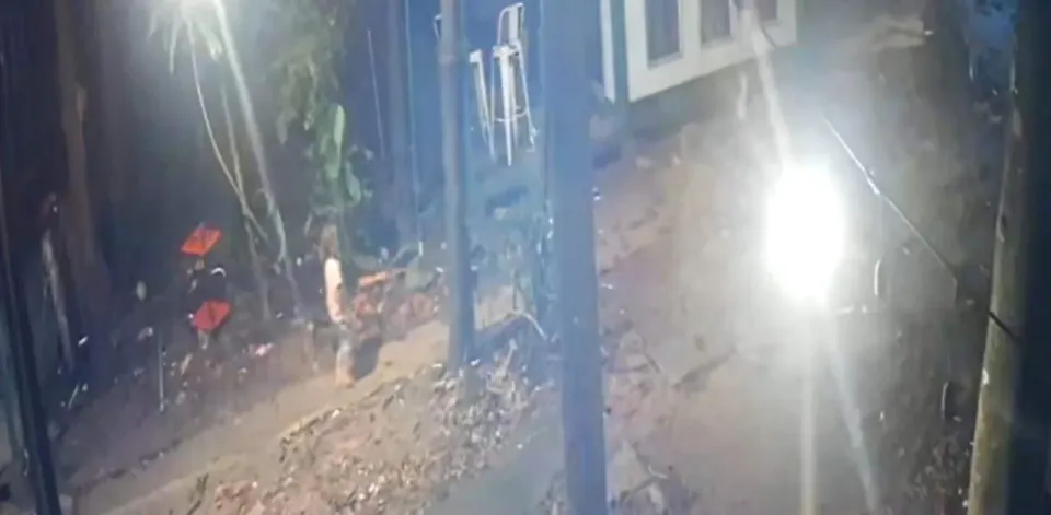 라용 지역 2세 아동 사망 사건, 유기견 공격 여부 수사 중