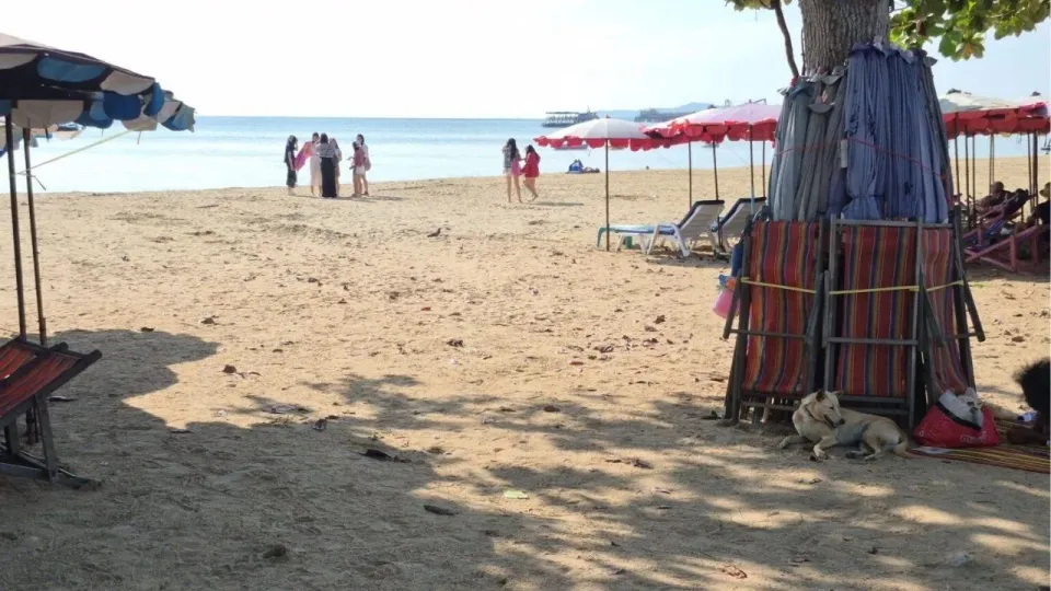 태국 파타야 좀티엔 해변, 노점상 갈등이 집단폭행으로 번져